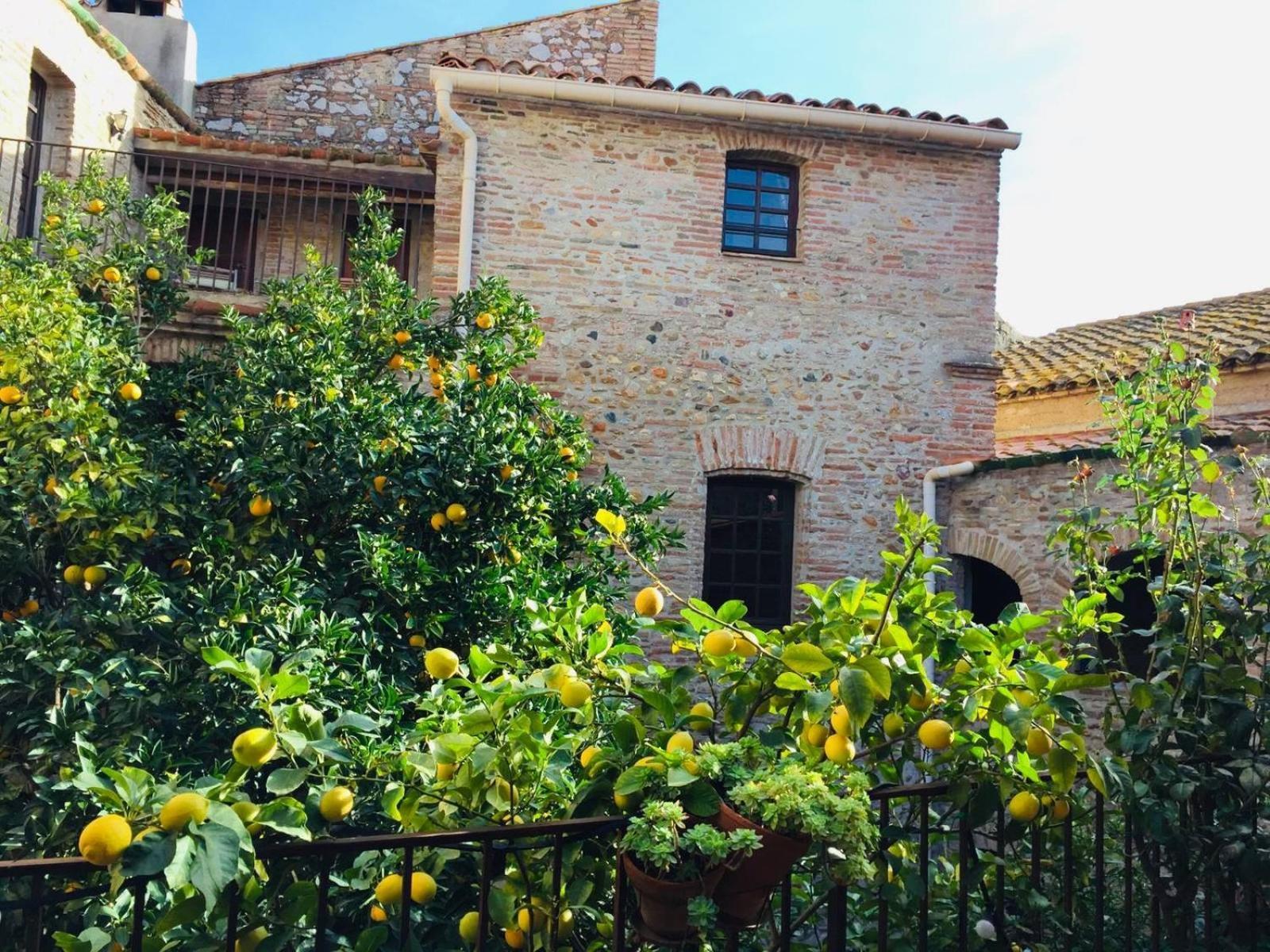 La Vieille Demeure Torreilles Exterior foto